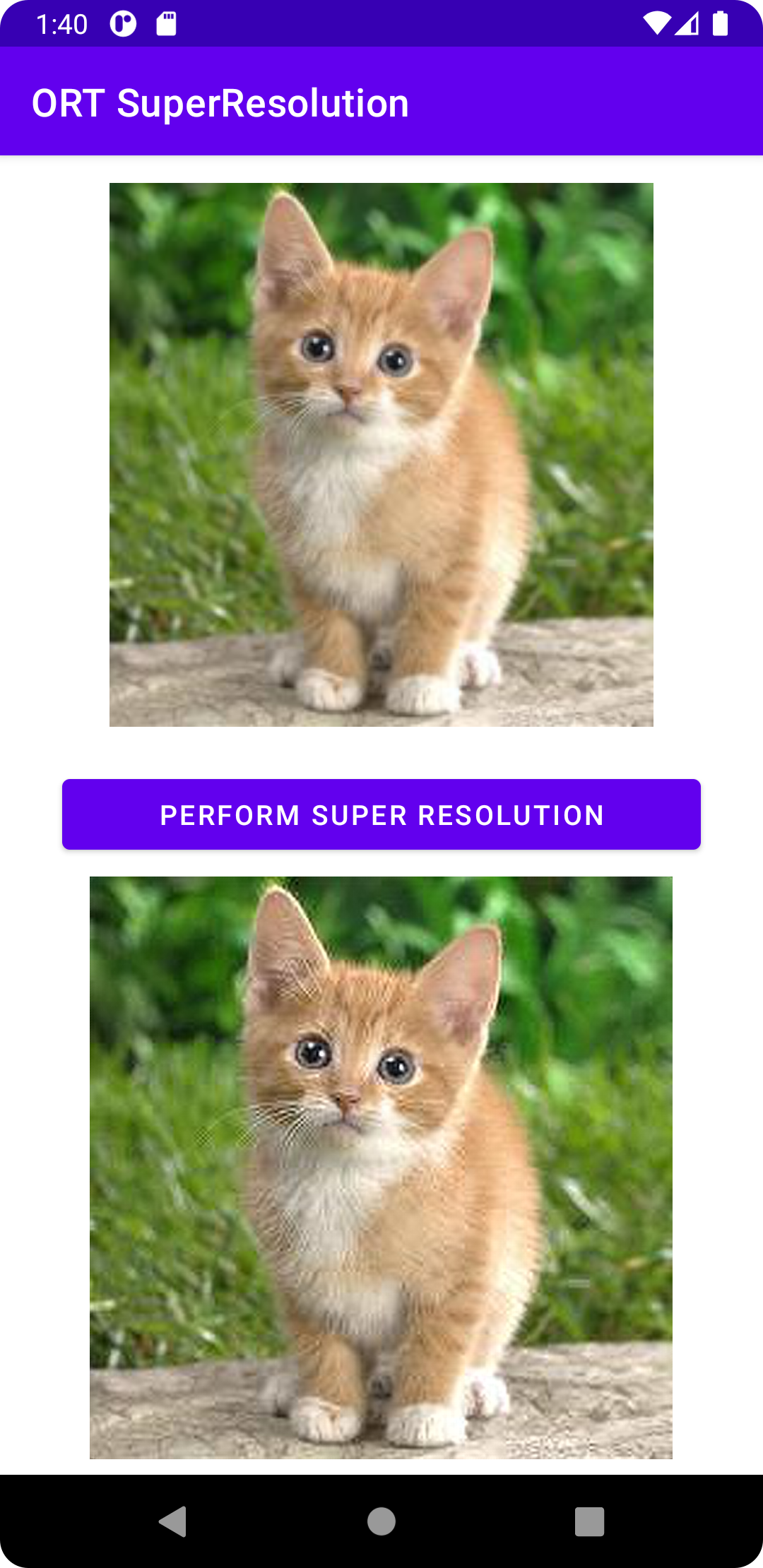 Super resolution on a cat